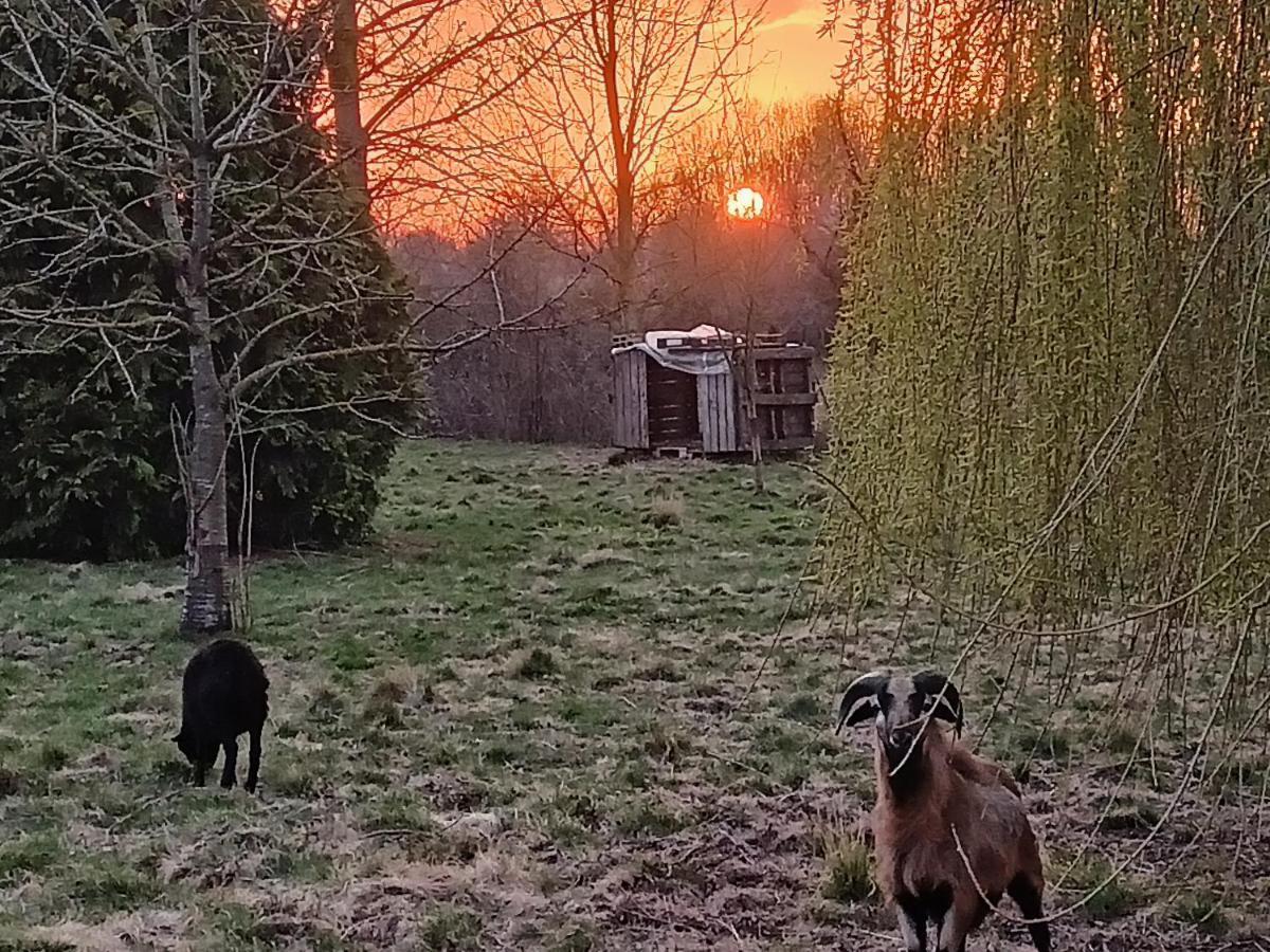 Les Chambres Du Vert Galant "Coucher De Soleil" Verlinghem Exteriér fotografie